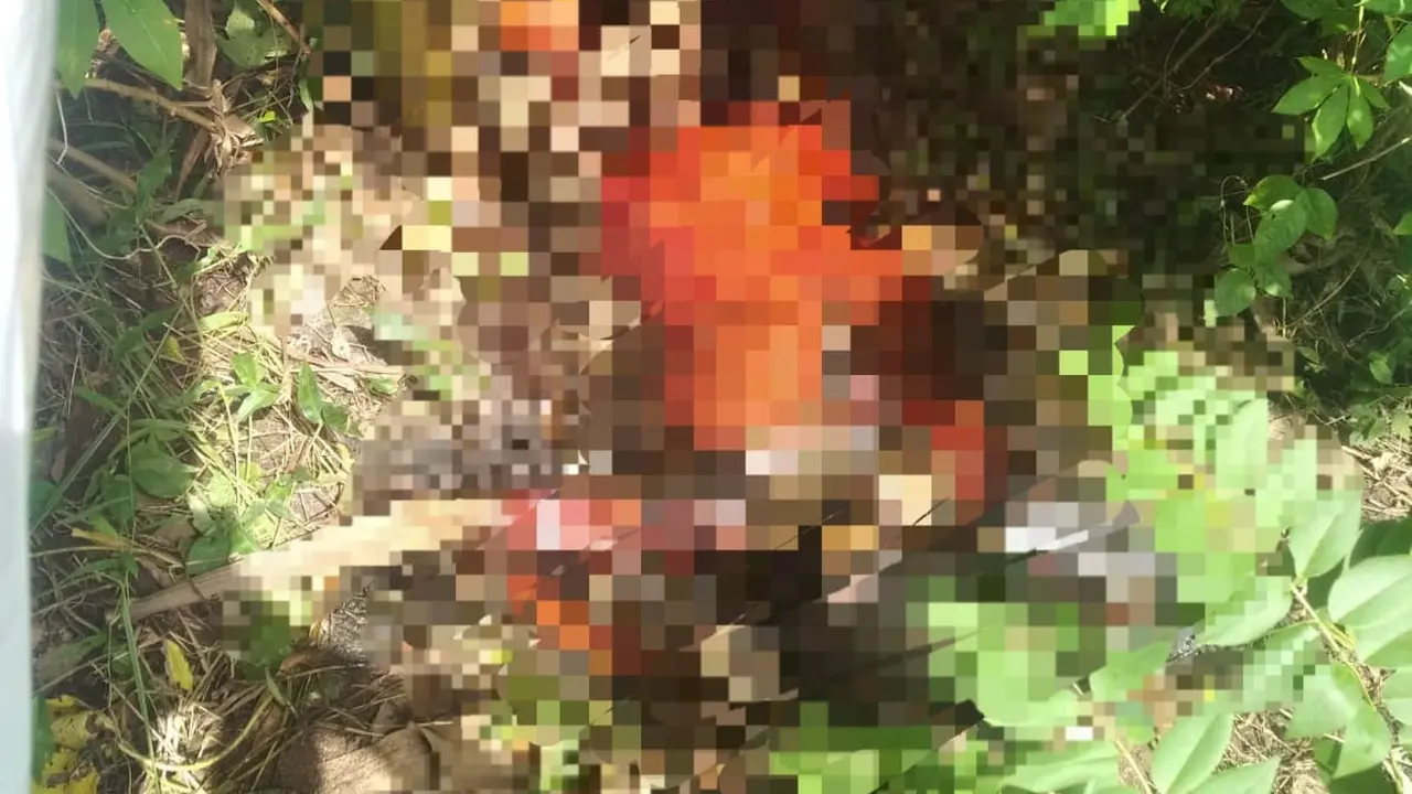 Sesosok jasad ditemukan di jurang yang berada di Lingkungan Brak, Kelurahan kalipuro, Banyuwangi (Istimewa)