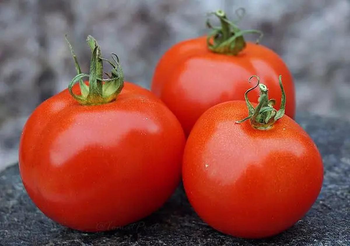Cara Sederhana Menurunkan Kolesterol secara Alami dengan Sayur Tomat