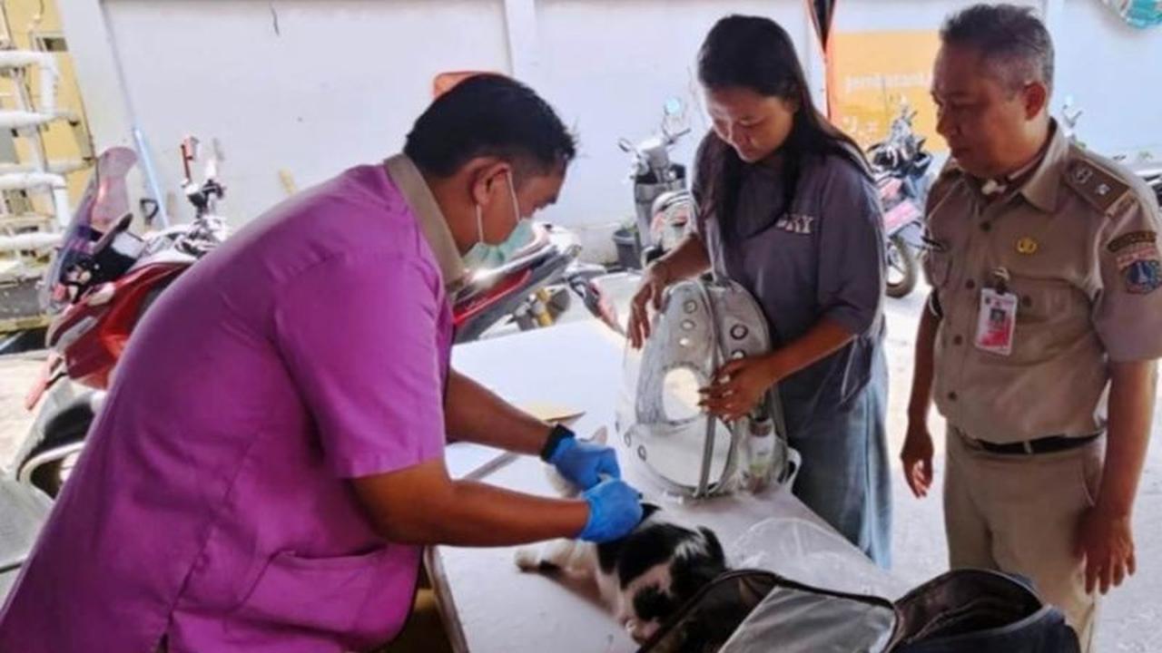 Sudin KPKP Gencarkan Vaksinasi Rabies Jakarta Barat di Tambora untuk Jaga Hewan Peliharaan