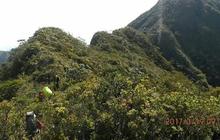 6 Fakta Menarik Gunung Kurik, Surga Tersembunyi Bagi Para Pendaki di Aceh Timur
