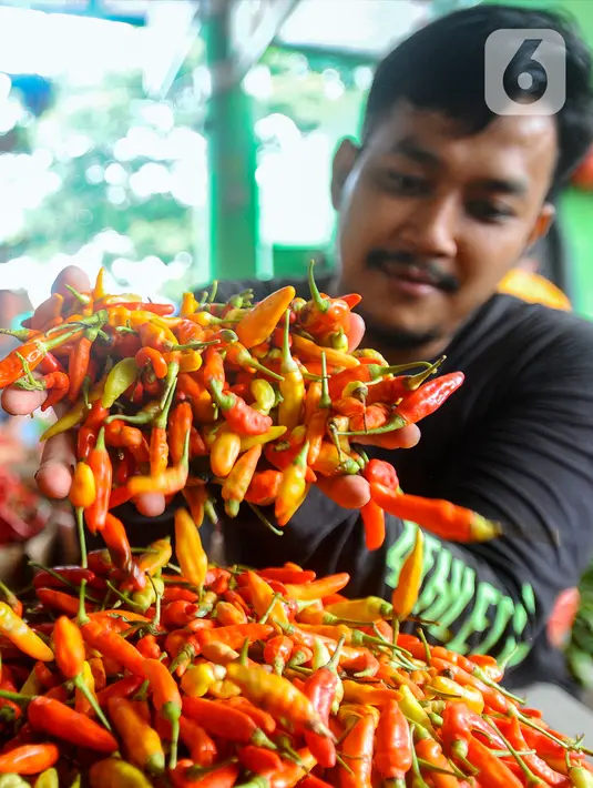 Khusus untuk Jakarta, cabai rawit merah menjadi jenis cabai yang harganya paling mahal. (merdeka.com/Arie Basuki)