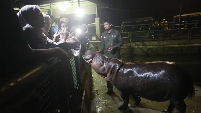 Warga Jakarta Antusias Sambut Wisata Malam Ragunan, Jadi Sarana Edukasi dan Hiburan Alternatif 