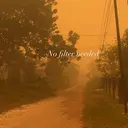 Hari-Hari Berat Warga Palangka Raya, Sesak Terkepung Asap dan ISPA Menghantui