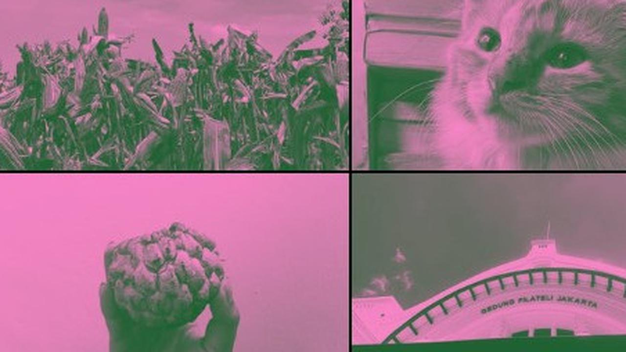 Apa itu Brave Pink Hero Green? Gerakan yang Sedang Viral di Media Sosial Usai Demo