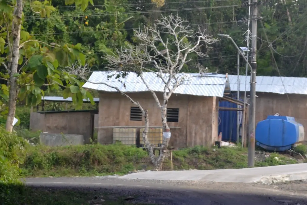 Pertelon Kamboja Nusakambangan. Foto: (Muhammad Ridlo/Liputan6.com)