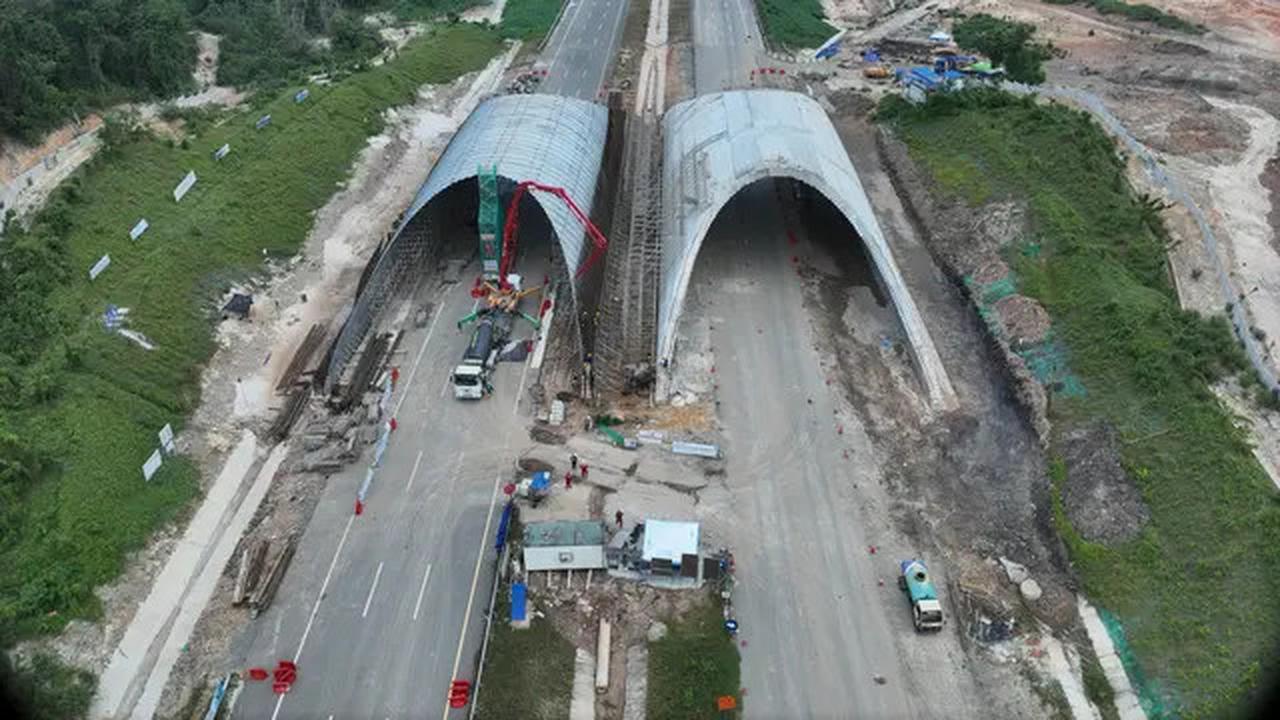 Canggih, IKN Bakal Punya Jembatan Khusus untuk Satwa, Begini Bentuknya