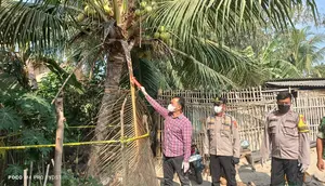 Petani di Lampung Ditemukan Meninggal, Sempat Mengeluh Gagal Panen