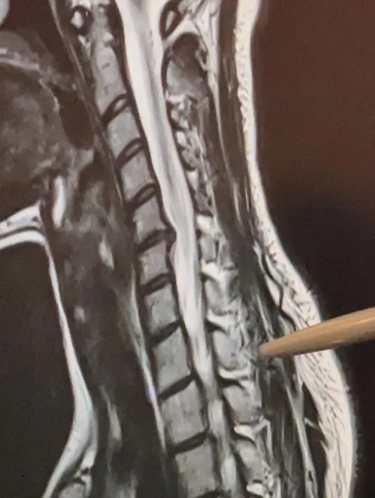 Sheryl Sheinafia (Instagram/sherylsheinafia)