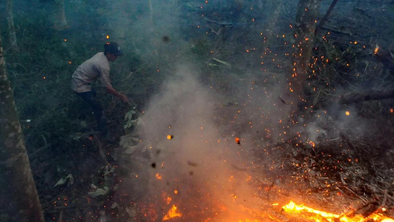 Saat itu, dalam keadaan darurat petugas hanya bisa menfaatkan batang atau ranting pohon berdaun untuk melakukan proses pemadaman api.