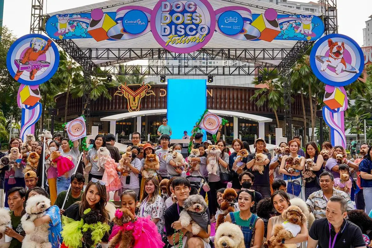 Dog Does Festival