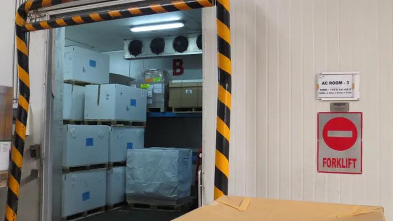 Kantongi Sertifikasi Global, JAS Airport Services Jamin Ekspor Perikanan RI Aman