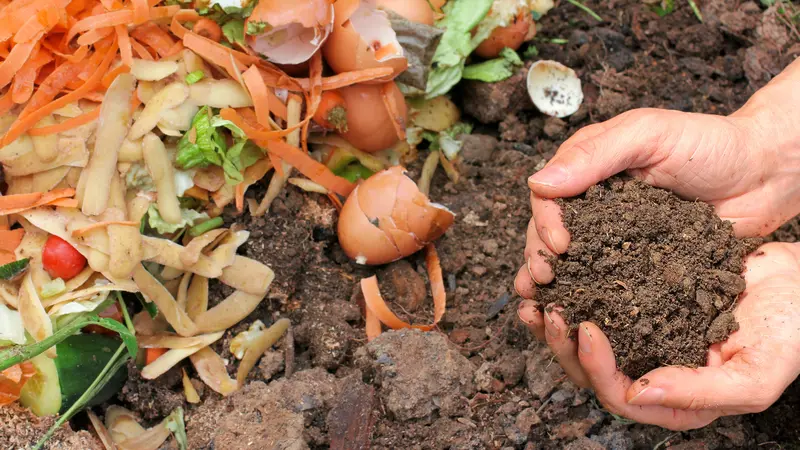 Cara Membuat Pupuk Organik dari Sampah Rumah Tangga