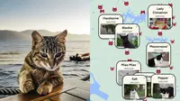 Peta Digital Ini Berisi Potret dan Lokasi Kucing Jalanan (Sumber: Pexels/Nihat,  Cats of SG)