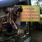 Patung harimau di Desa Bungkal, Kecamatan Bungkal, Kabupaten Ponorogo, Jatim. (Liputan6.com/Dian Kurniawan)