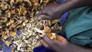Pada bulan Januari, tiga anak perempuan dalam satu keluarga meninggal setelah memakan jamur liar beracun. Laporan semacam itu terus bermunculan di setiap musim. Beberapa tahun yang lalu, 10 anggota keluarga meninggal setelah mengonsumsi jamur beracun. (AP Photo/Tsvangirayi Mukwazhi)