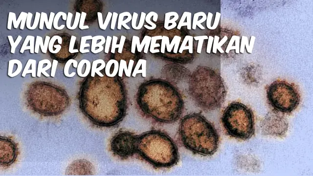 thumbnail cek fakta hantavirus