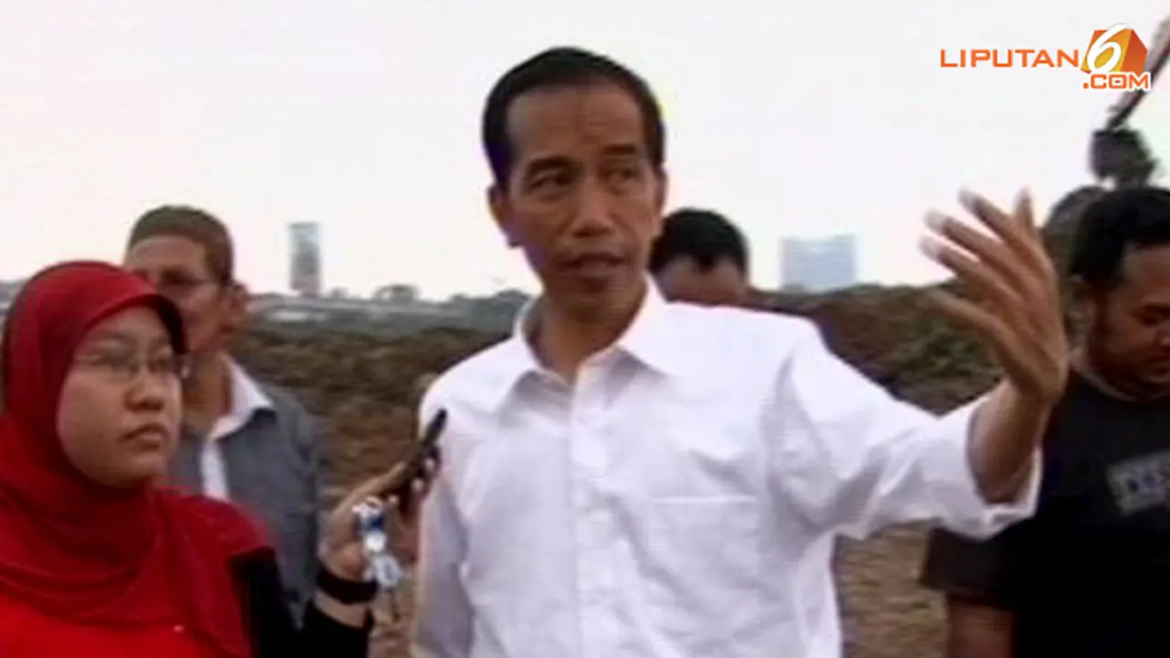 jokowi-presiden-130904c.jpg