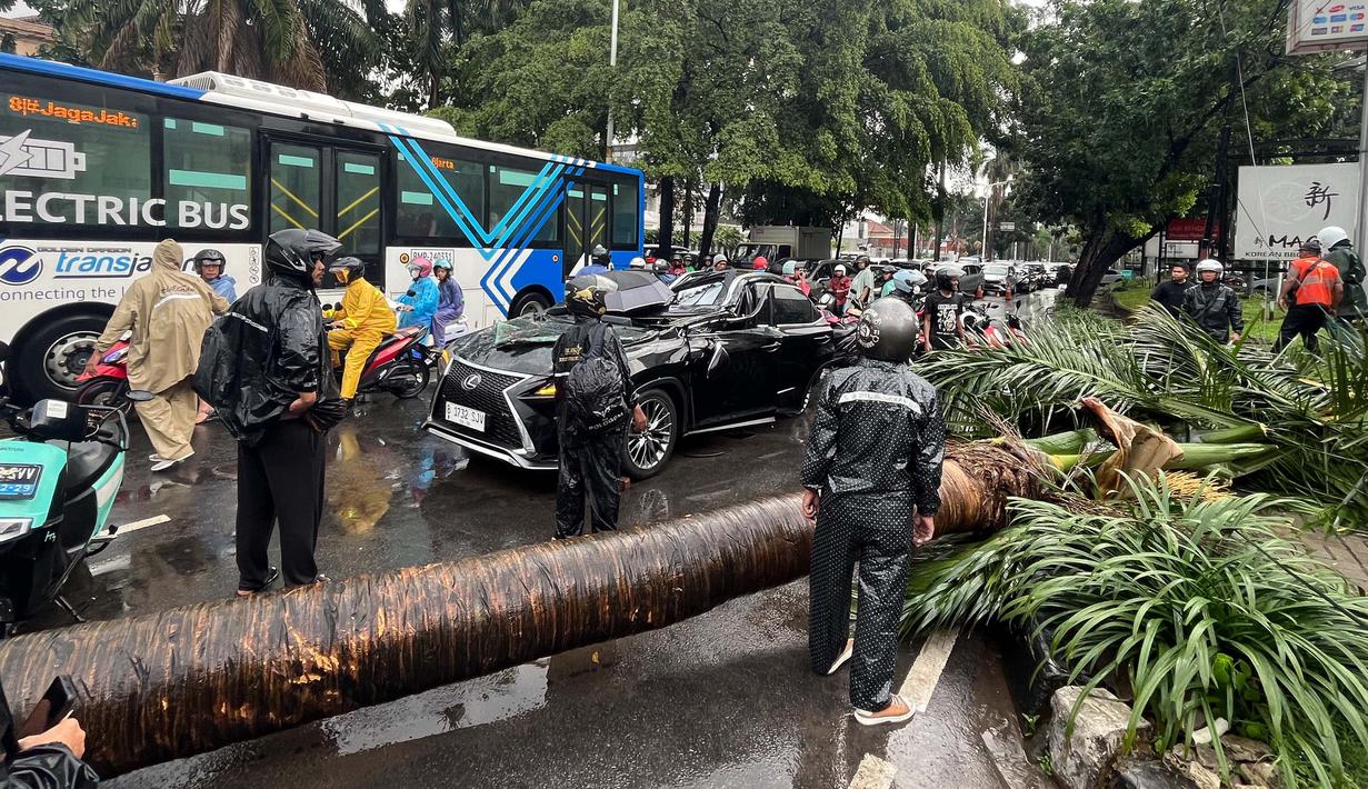 Mobil mewah bermerek Lexus rusak parah tertimpa pohon palem berukuran besar yang roboh saat hujan deras mengguyur kawasan Jalan Metro Pondok Indah, Jakarta, Minggu (26/10/2025). (merdeka.com/Arie Basuki)