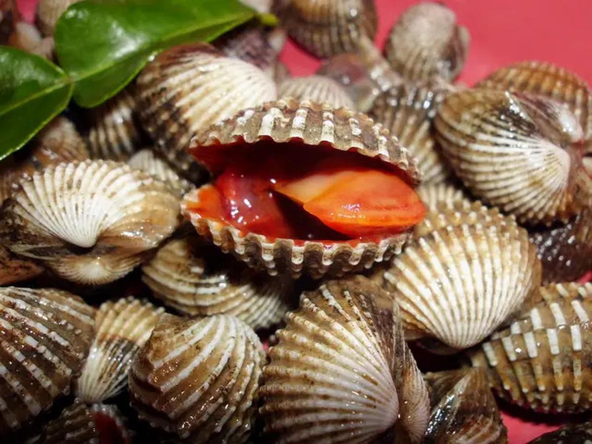 5 Makanan Ekstrem di Dunia Ini Masih Berani Dimakan Orang, Ketahui Bahayanya