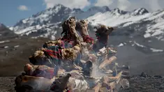 Llama muda dibakar sebagai persembahan ritual Pachamama atau Ibu Bumi di gunung La Cumbre, pinggiran La Paz, Bolivia, Rabu (1/8). Bulan Agustus, orang-orang berkumpul melakukan persembahan menghormati dewi bumi dan meminta keberuntungan. (AP/Juan Karita)