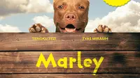 Poster film Marley (https://www.instagram.com/p/CZ8405ml53n/)