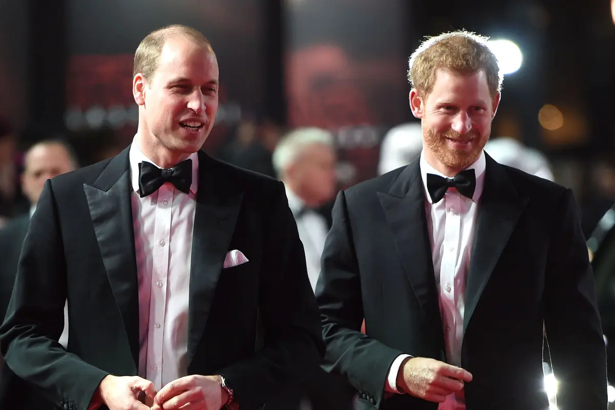 Pangeran William dan Pangeran Harry di Star Wars