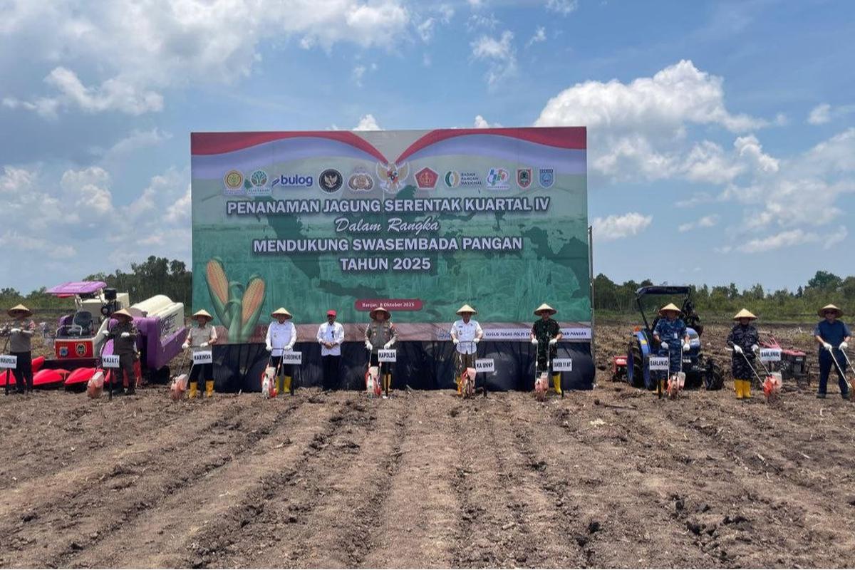 Gubernur Kalimantan Selatan, Muhidin melakukan tanam jagung serentak bersama Forkompida Kalsel