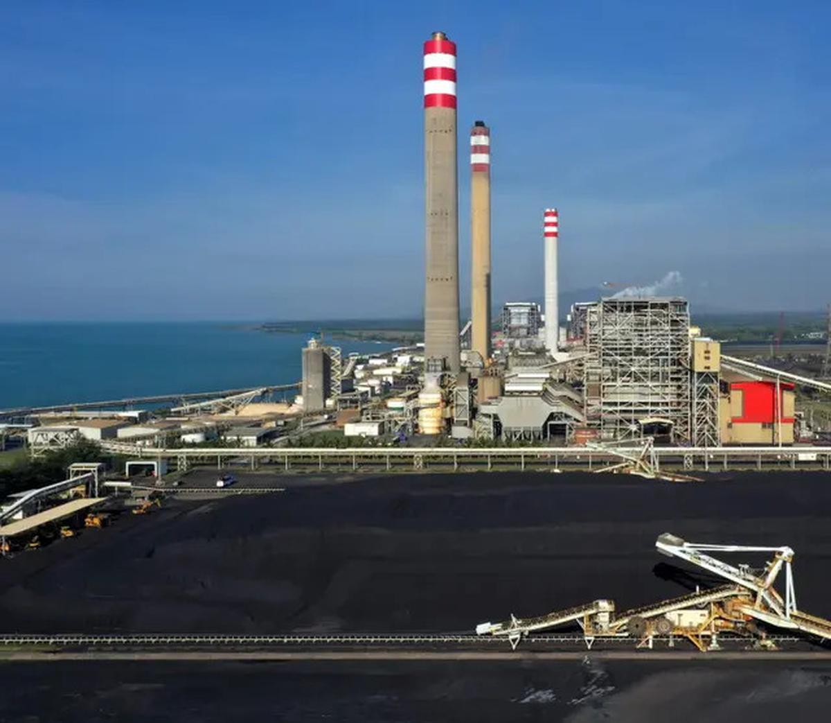 Serbuk Sorgum Disulap Jadi Sumber Energi PLTU