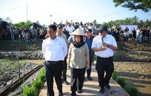 Kementan Alokasikan Rp336 Miliar untuk Rehabilitasi Sawah Terdampak Banjir di Sumatera