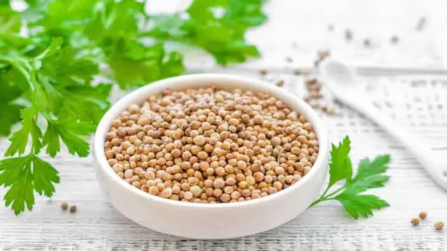 Biji Ketumbar. (foto: Pinteres/Beauty Epic).