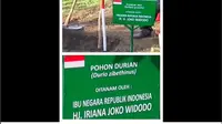 Usai Tanam Pohon, Jokowi Terbang ke Jakarta