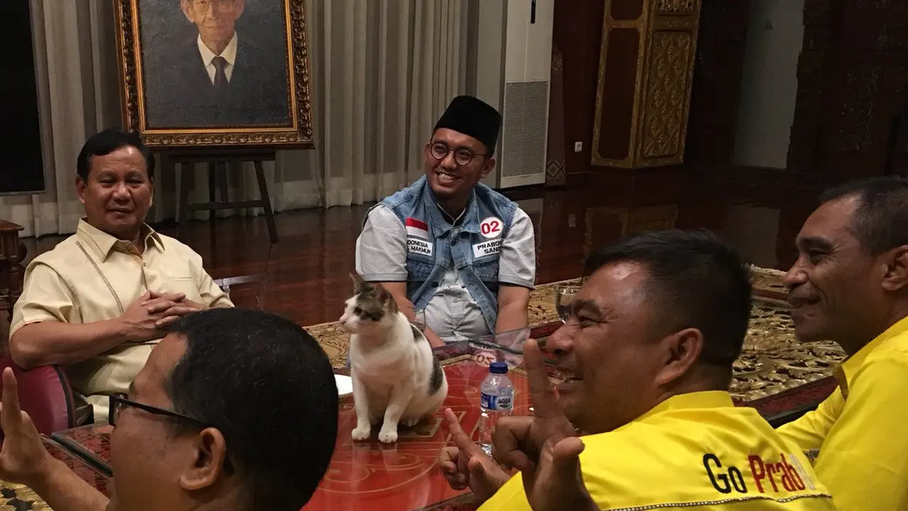 Kucing Prabowo