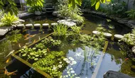 7 Desain Kolam Ikan yang Tidak Perlu Sering Dikuras, Estetik, Sehat, dan Minim Perawatan