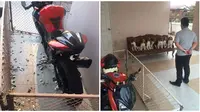 Ekspresi Anjing Saat Merusak Barang Majikannya Ini Bikin Geleng Kepala (sumber: Twitter/@SiegerAnwalt)