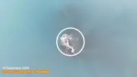 Heboh Kemunculan 'Cucu' Krakatau, Cikal Bakal Gunung Api Baru?