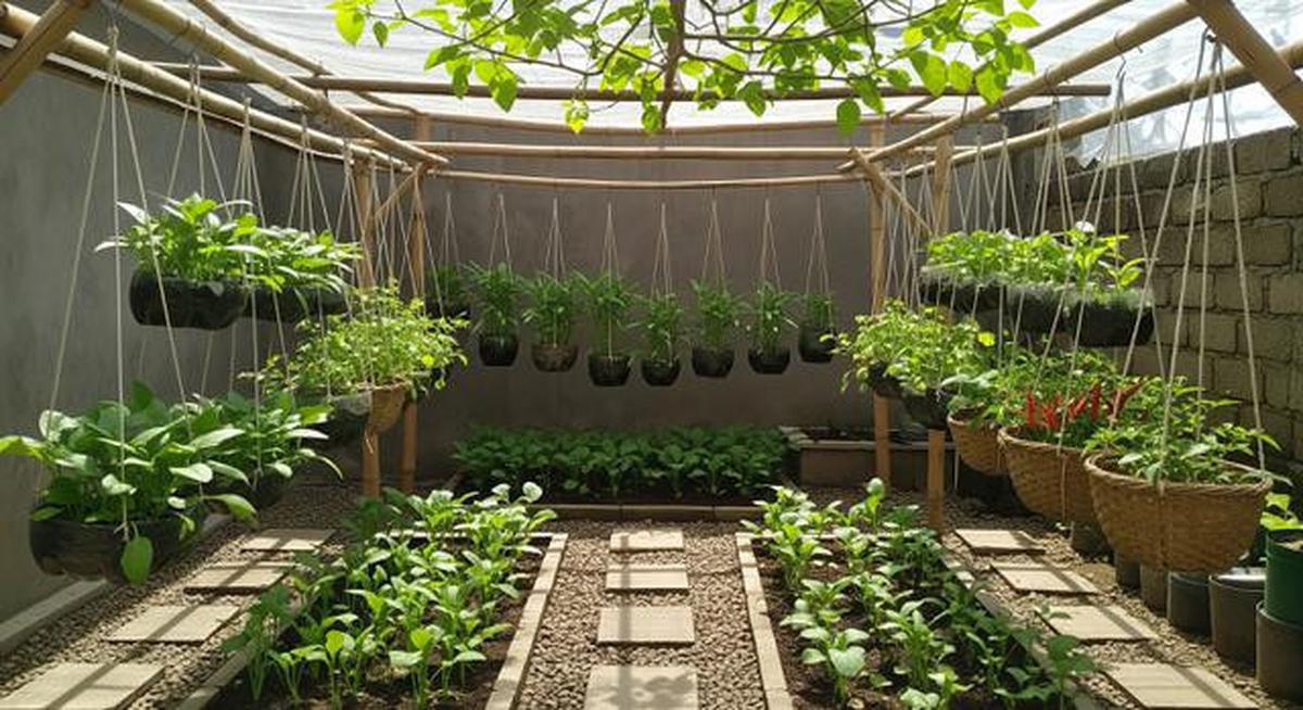 9 Ide Kebun Sayur Minimalis Belakang Rumah Modal Rp 300 Ribu, Cocok untuk Pemula