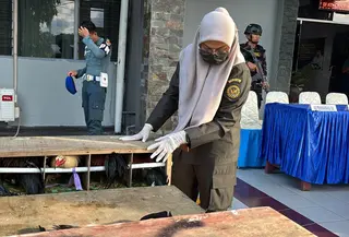 TNI AL bongkar penyelundupan ratusan ayam asal Filipina