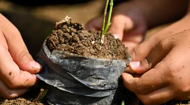 Anak-anak sekolah menanam bibit pohon enjelang Hari Hutan Internasionaldi sebuah sekolah dasar Islam di Banda Aceh pada 16 Maret 2023.(AFP/CHAIDEER MAHYUDDIN)