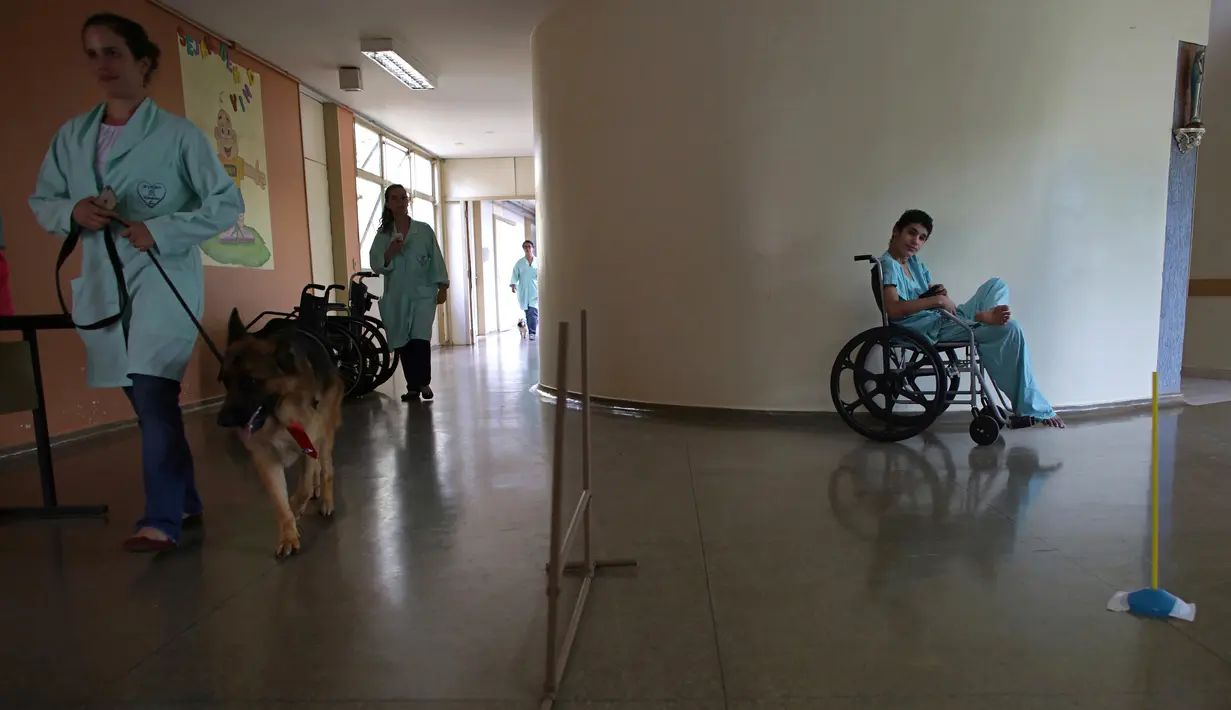 Perawat Priscila Cremer berjalan bersama anjing peliharaan bernama Pacato untuk mengunjungi pasien sebagai bagian dari program terapi hewan peliharaan setiap hari Kamis di Rumah Sakit Dukungan, Brazil. (17/11/2016). (AP Photo / Eraldo Peres)