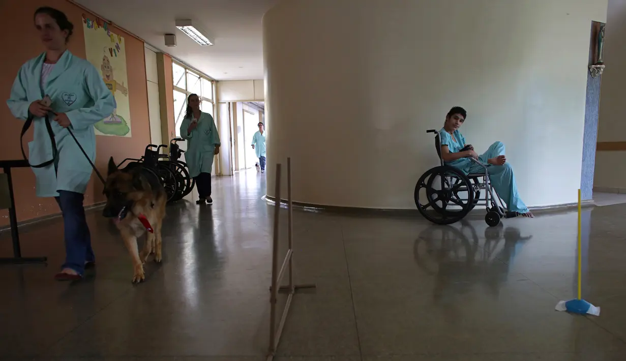 Perawat Priscila Cremer berjalan bersama anjing peliharaan bernama Pacato untuk mengunjungi pasien sebagai bagian dari program terapi hewan peliharaan setiap hari Kamis di Rumah Sakit Dukungan, Brazil. (17/11/2016). (AP Photo / Eraldo Peres)