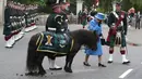 Lalu saat Ratu menginspeksi Blaclava Company, si kuda poni ini buang air besar di hadapan sang Ratu. (GETTY IMAGES/ANDREW MILLIGAN - PA IMAGES/Cosmopolitan)