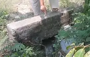 Warga Lampung Selatan Keluhkan Bau Menyengat Limbah Dapur SPPG