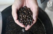 Transisi ke Ranah Digital Dongkrak Penjualan Kopi Nusantara Hingga 60 Persen, Buka Lapangan Kerja