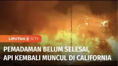 Belum selesai pemadaman kebakaran dahsyat di Los Angeles, Amerika Serikat, kebakaran hutan baru kembali melanda. Sejak Senin malam, kobaran api menerjang kawasan Oxnard, California Selatan, sekitar 89 km barat laut Los Angeles. Lalu apa penyebab keba...