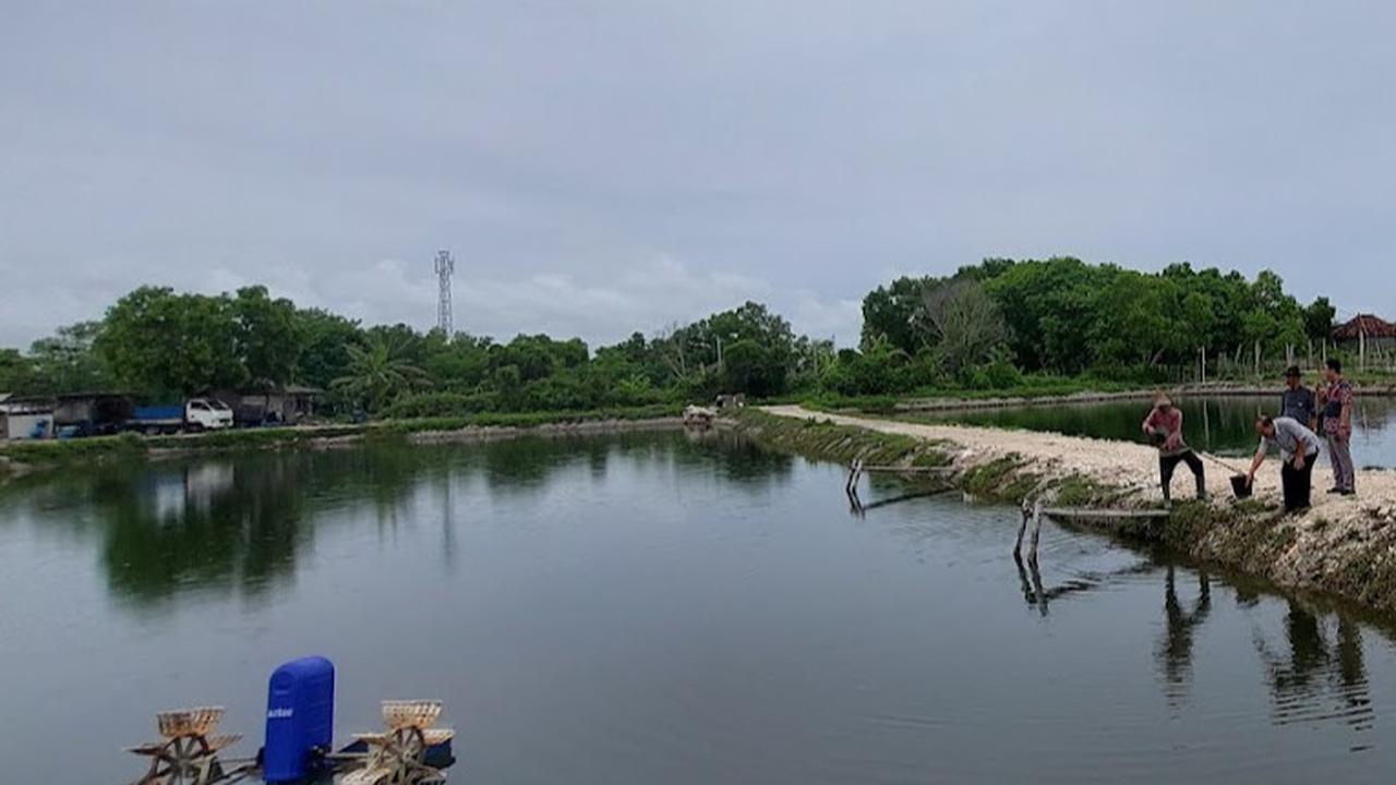 Kampung Kerapu Lamongan