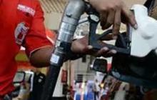 Ternyata, Singkong Hingga Jerami Bisa Jadi Bahan Baku BBM Pengganti Pertalite