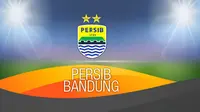 Skuat Persib Bandung (Liputan6.com/Abdillah)