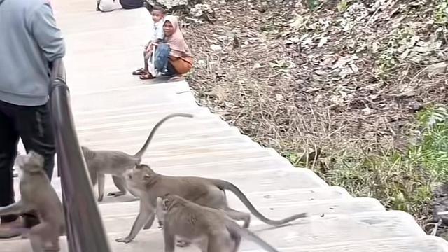 Kera di Goa Terawang Blora Jawa Tengah yang Kini Jadi Kafe Estetik. (Dok: TikTok  @caffeelattee)