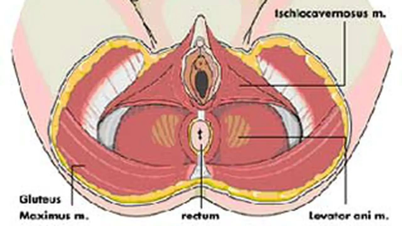 090611bkegel.jpg