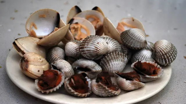 Kerang Dara, Makanan Mematikan